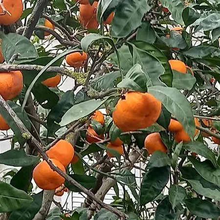 Apartamento Blue Lagoon Silver Lovište