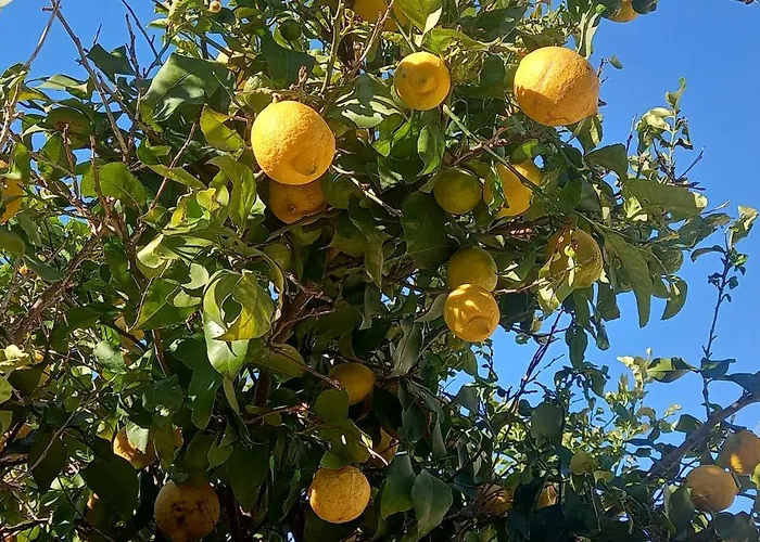 Blue Lagoon Silver *