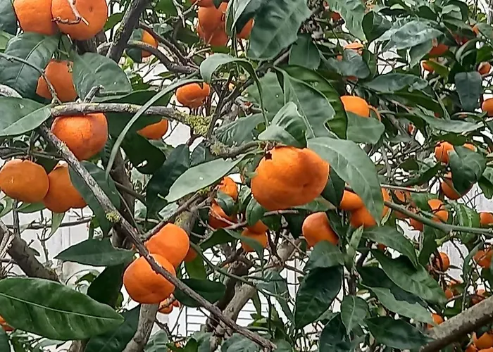 شقة Blue Lagoon Silver Lovište